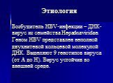 Этиология. Возбудитель HBV-инфекции – ДНК-вирус из семейства Hepadnaviridae. Геном HBV представлен неполной двухнитевой кольцевой молекулой ДНК. Выделяют 9 генотипов вируса (от A до H). Вирус устойчив во внешней среде.