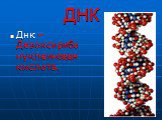 ДНК. Днк – Дезоксирибонуклеиновая кислота.