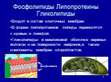 Фосфолипиды Липопротеины Гликолипиды. Входят в состав клеточных мембран В форме липопротеинов липиды переносятся с кровью и лимфой. Гликолипиды- в миелиновой оболочке нервных волокон и на поверхности нейронов,а также компоненты мембран хлоропластов. фосфолипиди