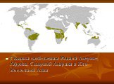Саванны свойственны Южной Америке, Африке, Северной Америки и Юго-Восточной Азии