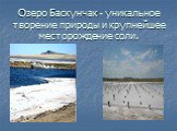 Озеро Баскунчак - уникальное творение природы и крупнейшее месторождение соли.