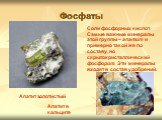 Фосфаты. Соли фосфорных кислот. Самые важные минералы этой группы – апатит и примерно такой же по составу, но скрытокристаллический фосфорит. Эти минералы входят в состав удобрений. Апатит в кальците. Апатит золотистый