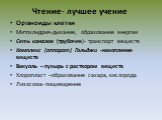 Органоиды клетки Митохондрия-дыхание, образование энергии Сеть каналов (трубочек)- транспорт веществ Комплекс (аппарат) Гольджи -накопление веществ Вакуоль – пузырь с раствором веществ Хлоропласт –образование сахара, кислорода Лизосома- пищеварение