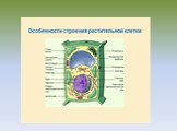 БОЛЬШОЙ МИР МАЛЕНЬКИХ КЛЕТОК Слайд: 9
