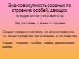 Вид-совокупность сходных по строению особей, дающих плодовитое потомство. Создал первую систему, но искусственную, т.к. искал сходство организмов, а не родство. Основа – строение тычинок: форма, расположение, размер. Вид постоянен с момента создания.