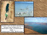 Мертвым морем называют, фактически, большое озеро, которое имеет 76 километров в длину, до 18 километров в ширину и максимальную глубину 400-410 метров.