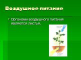 Воздушное питание. Органами воздушного питания являются листья.