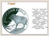 Гора́л (лат. Naemorhedus goral) — жвачное парнокопытное животное подсемейства козлов (Caprinae). Животное козлиного облика, средних размеров. По географической изменчивости окраски принимаются 6 подвидов горалов. Обитающий в российском Приморье подвид сейчас рассматривается в качестве отдельного вид