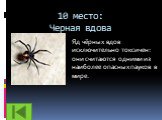 10 место: Черная вдова. Яд чёрных вдов исключительно токсичен: они считаются одними из наиболее опасных пауков в мире.