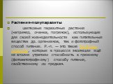 Растения-полупаразиты         цветковые паразитные растения (например, очанка, погремок), использующие для своей жизнедеятельности как питательные вещества др. организмов, так и фототрофный способ питания. Р.-п. — это такие Растения-паразиты, которые в процессе эволюции ещё не вполне утратили способ