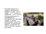 Половая зрелость у самцов начинается немного позже, чем у самок – в 11-13 лет ( у самок же – в 10-12 лет). Продолжительность беременности составляет 8,5 месяцев. Самцы к своим детенышам относятся хорошо, но отеческую заботу проявляют не часто. На этот случай есть мать.