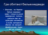 Впрочем, на берегах белые медведи живут только в узкой приморской полосе, дальше чем на один-два километра в глубь материков обычно не заходят. Дрейфующие льды — вот их стихия.