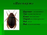 Царство: животные Тип: членистоногие Класс: насекомые Отряд:жесткокрылые Род: жук Вид: жук-плавунец