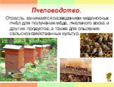 Пчеловодство. Отрасль занимается разведением медоносных пчёл для получения мёда, пчелиного воска и других продуктов, а также для опыления сельскохозяйственных культур.