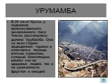 УРУМАМБА. В 28 км от Куско, у подножия величественного заснеженного пика Чикон, раскинулась долина Урубамба. Она со всех сторон защищенная горами и отличается теплым мягким климатом, который благотворно влияет как на здоровье людей, так и на урожайность фруктов и овощей.
