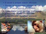 В лесах и рощах много обезьян. Почти повсеместно обитают змеи, в том числе много ядовитых. Аравийское море богато рыбными ресурсами. Наиболее важное промысловое значение имеют сельдь, морской окунь, раванс (индийский лосось). раванс