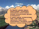 Почвы. На Индской равнине широко распространены плодородные аллювиальные почвы в речных долинах и полупустынные сероземы на междуречьях. В горных районах последовательно снизу вверх сменяются каштановые, бурые лесные, субальпийские и альпийские горные луговые и лугово-степные почвы.