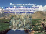 Растительный мир. В скудном растительном покрове доминируют полыни, каперсы, верблюжья колючка, солянки. полынь
