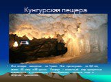 Кунгурская пещера. Эта пещера находится на Урале. Она протянулась на 5,6 км, имеет 60 озер и 58 гротов. Пещера – сказочный мир прозрачных сталактитов и сталагмитов, своеобразных потоков льда и ледяных кристаллов.
