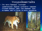 Уссурийская тайга. Это часть Приморья, в которой удивительным образом сочетается северная и южная природа тайги. Она занимает одно из первых мест в России по числу эндемиков.