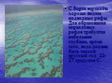 С борта вертолёта хорошо видны подводные рифы. Для образования коралловых рифов требуется небольшая глубина, кроме того, вода должна быть теплой круглый год 22-27 градусов С.