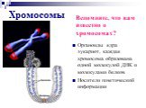 Органоиды ядра эукариот, каждая хромосома образована одной молекулой ДНК и молекулами белков Носители генетической информации. Вспомните, что вам известно о хромосомах?