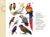 Попугаи: 1 — масковые неразлучники; 2 — желтохохлый какаду; 3 — красный ара; 4 — пестрый лори; 5 — волнистый попугай; 6 — жако; 7 — дамский, или черноголовый, лори; 8 — кеа.