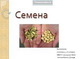 Семена. Выполнила ученица 3 «А» класса МБОУ гимназии №26 Кипчакбаева Динара
