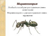Мирмекохория Особый способ распространения семян животными Мирмекохория — распространение семян муравьями