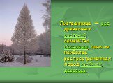 Ли́ственница  — род древесных растений семейства Сосновые, одна из наиболее распространённых пород хвойных деревьев.