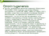 Orrorin tugenensis. Другая древнейшая двуногая гоминида обнаружена 25 октября 2000 года при раскопках в Кении неподалеку от Great Rift Valley (Aiello & Collard, 2001). Останки существа, получившего прозвище Человек Миллениума, но официально названного Orrorin tugenensis, состоят из костей как ми