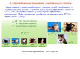 Черная окраска у кошек определяется аллелем гена В, находящимся в Х-хромосоме (XВ), рыжая — аллелем b (Xb). Если встречаются аллели В и b — XВXb, то окраска шерсти у кошки будет черепаховой, трехцветной. Какое потомство ожидается от рыжего кота (XbУ) и черной кошки (XBXB)? Все кошки черепаховые, кот