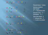Различные типы хромосомных мутаций: 1 — нормальная хромосома; 2 — деления; 3 — дупликация; 4 — инверсия; 5 — транслокация