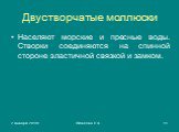 Двустворчатые моллюски. Населяют морские и пресные воды. Створки соединяются на спинной стороне эластичной связкой и замком.