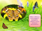 Бабочки садятся на цветы и питаются их нектаром, доставая его хоботком. Усиками насекомые принюхиваются.