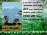 Гора Килиманджаро Эта величественная серо-голубая гора с покрытой снегом вершиной высится над полупустыней Северной Танзании. На языке суахили Килиманджаро означает "сверкающая гора" - весьма подходящее название для этого колоссального вулкана, покрытого белоснежной шапкой. Это высочайшая 