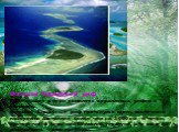 Большой Барьерный риф Величайший в мире комплекс коралловых рифов и островов. Большой Барьерный риф протянулся вдоль восточного побережья Австралии более чем на 2 000 км - с точки зрения таких наук, как биология, геология, это одно из величайших чудес природы.