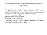 Лес – важный объект хозяйственной деятельности человека. Из древесины сегодня изготавливают 20 тысяч изделий. Существует и побочное использование северного леса, например, заготовка ягод. Черника даёт 300-400 кг/га, брусника – 100-140 кг/га. Собирают также грибы, лекарственные растения, продукты пче