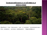 Биоразнообразие и устойчивость в экосистемах. Дождевые леса Амазонии, как и влажные экваториальные леса, являются местами наибольшего биоразнообразия