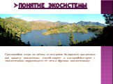 Понятие экосистемы. Пресноводное озеро на одном из островов Канарского архипелага как пример экосистемы (соседствует и взаимодействует с экосистемами окружающего её леса и другими экосистемами)