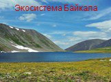 Экосистема Байкала