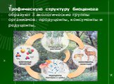Трофическую структуру биоценоза образуют 3 экологические группы организмов: продуценты, консументы и редуценты.