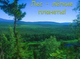 Лес – лёгкие планеты!