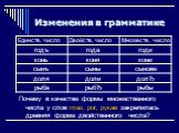 Почему в качестве формы множественного числа у слов глаз, рог, рукав закрепилась древняя форма двойственного числа?