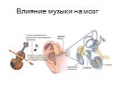 Влияние музыки на мозг