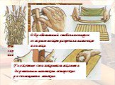 Дикие заросли папируса. Древний Египет. Обработанный стебель папируса острым ножом разрезали на тонкие полоски. Уложенные слои покрывали тканью и деревянным молотком осторожно расплющивали волокна.