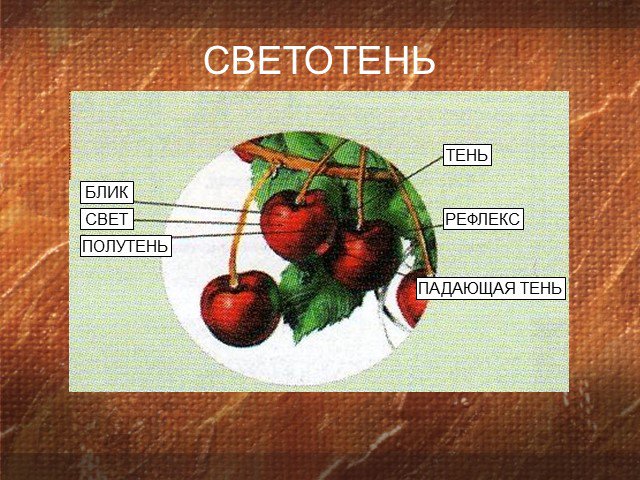 Свет тень полутень рефлекс блик в рисунке