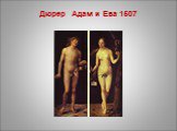Дюрер Адам и Ева 1507