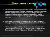 Языки эскимосско-алеутской семьи распространены на северо востоке России и крайнем севере Америки, а также среди коренного населения Гренландии. Чукотско-камчатская семья объединяет языки малочисленных коренных народов северо востока России. На языках алтайской семьи говорят на огромных пространства