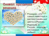 Символ праздника – ромашка. Ромашка - это самый известный и распространённый цветок в России. Издревле, в России, ромашка – это символ любви!!!